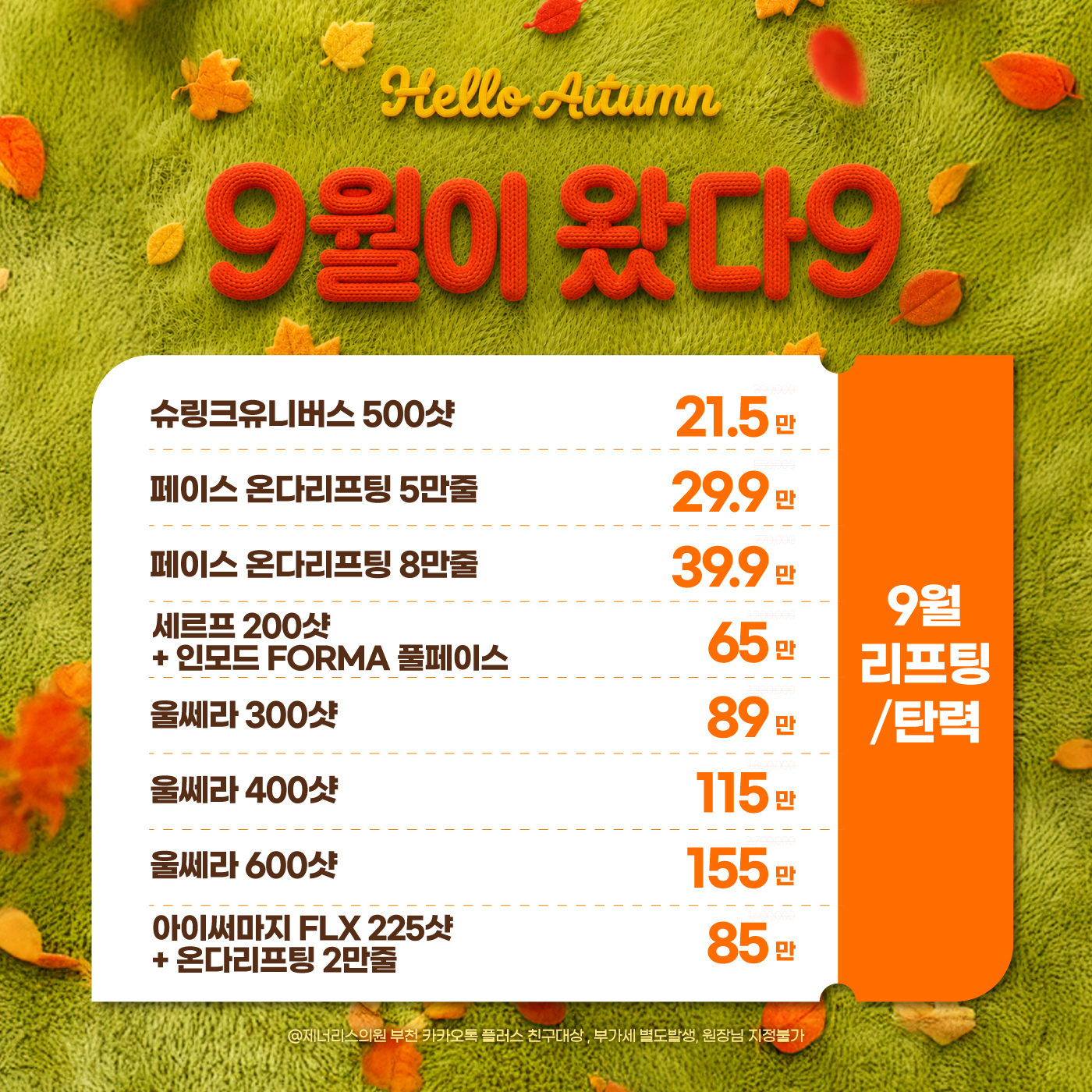 🍁리프팅/탄력