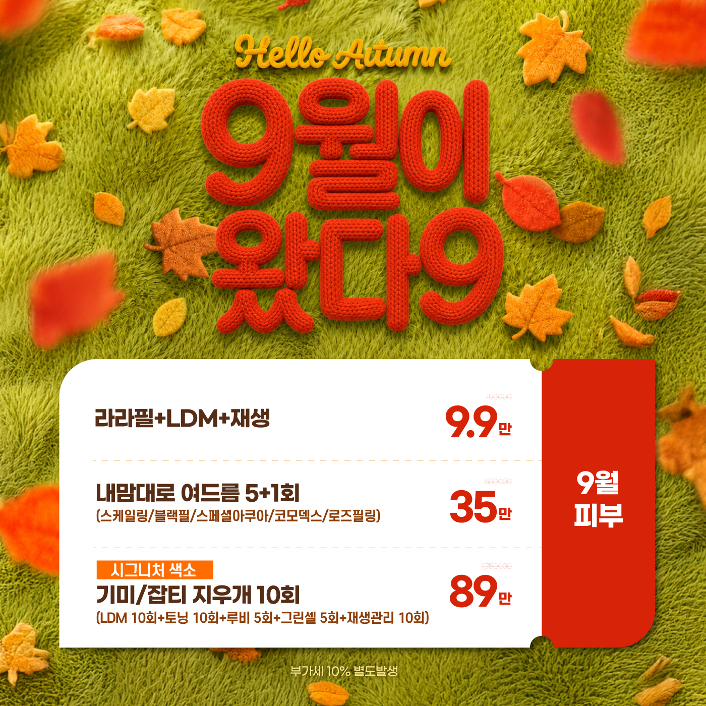 🍁9월이 왔다9🍁