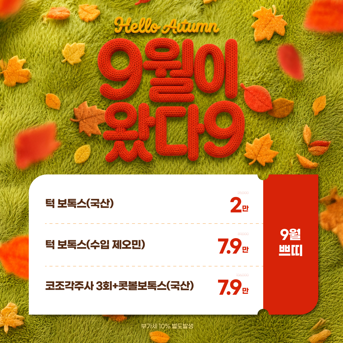 🍁9월이 왔다9🍁