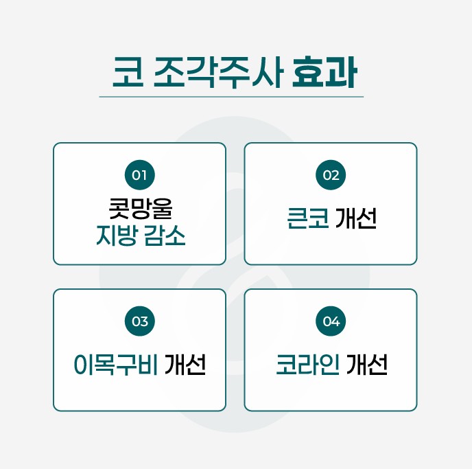 일산피부과 :: 일산 윤곽주사