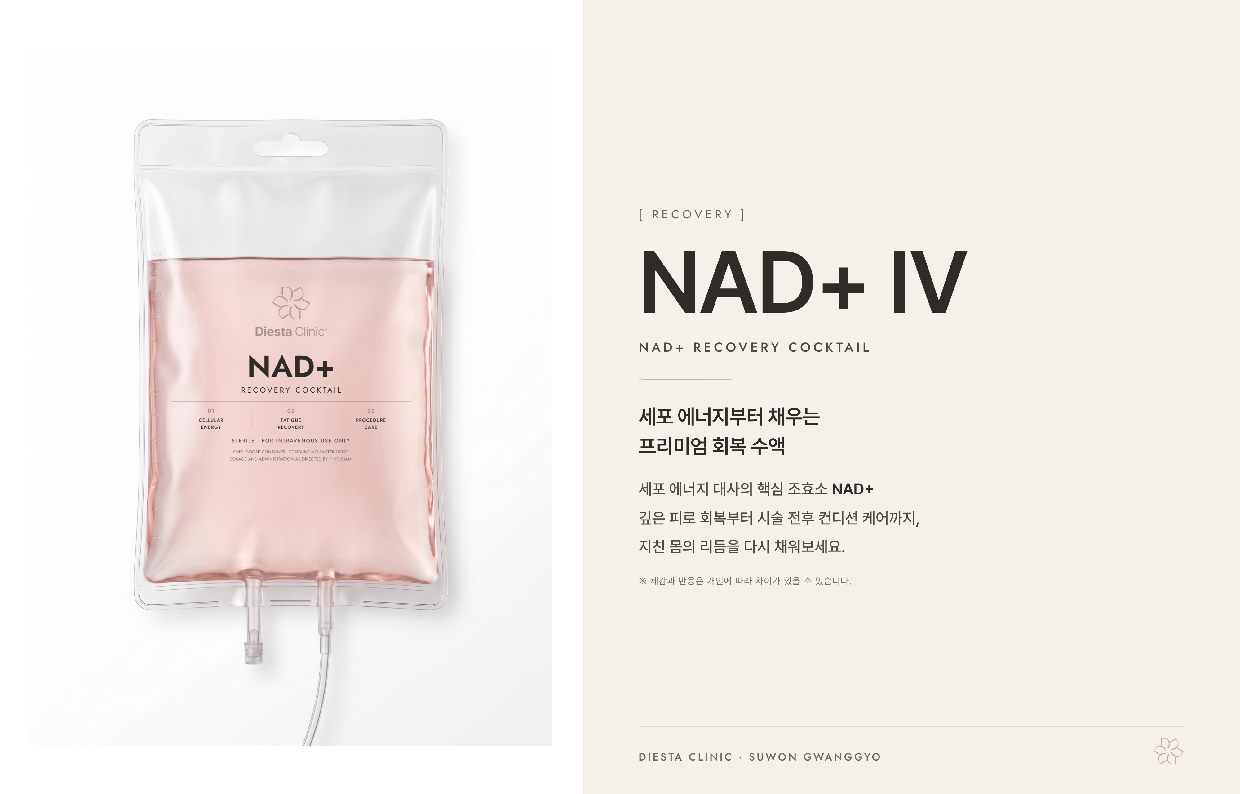 세포에너지를채우는 NAD+