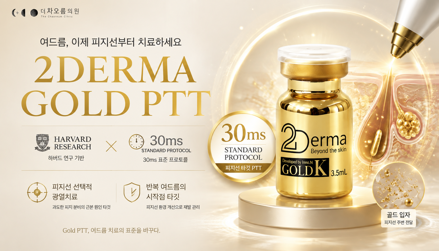 더 차오름의원 :: 2DERMA 골드 PTT 