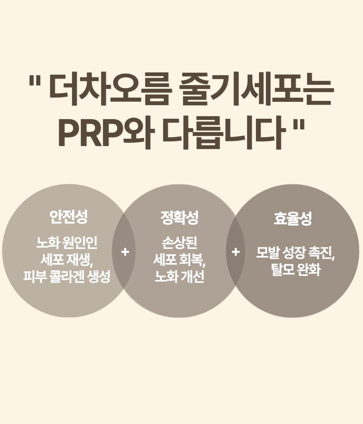 더 차오름의원 :: 더차오름셀 & 미라셀 줄기세포