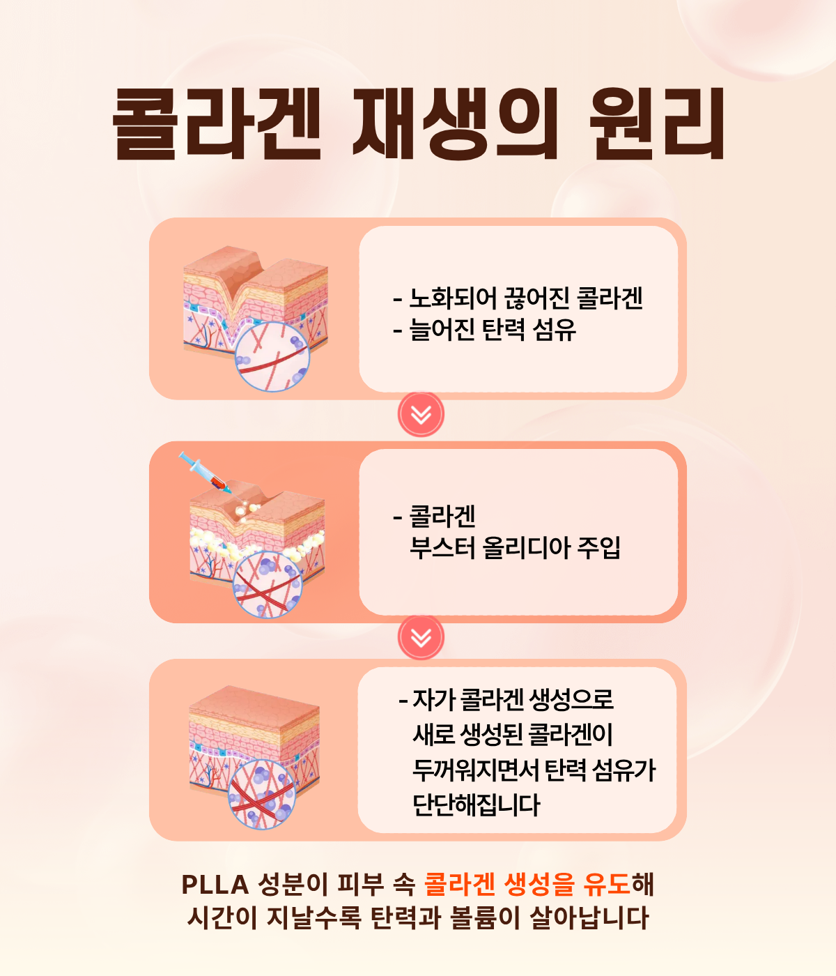 더 차오름의원 :: 올리디아 120 / 365