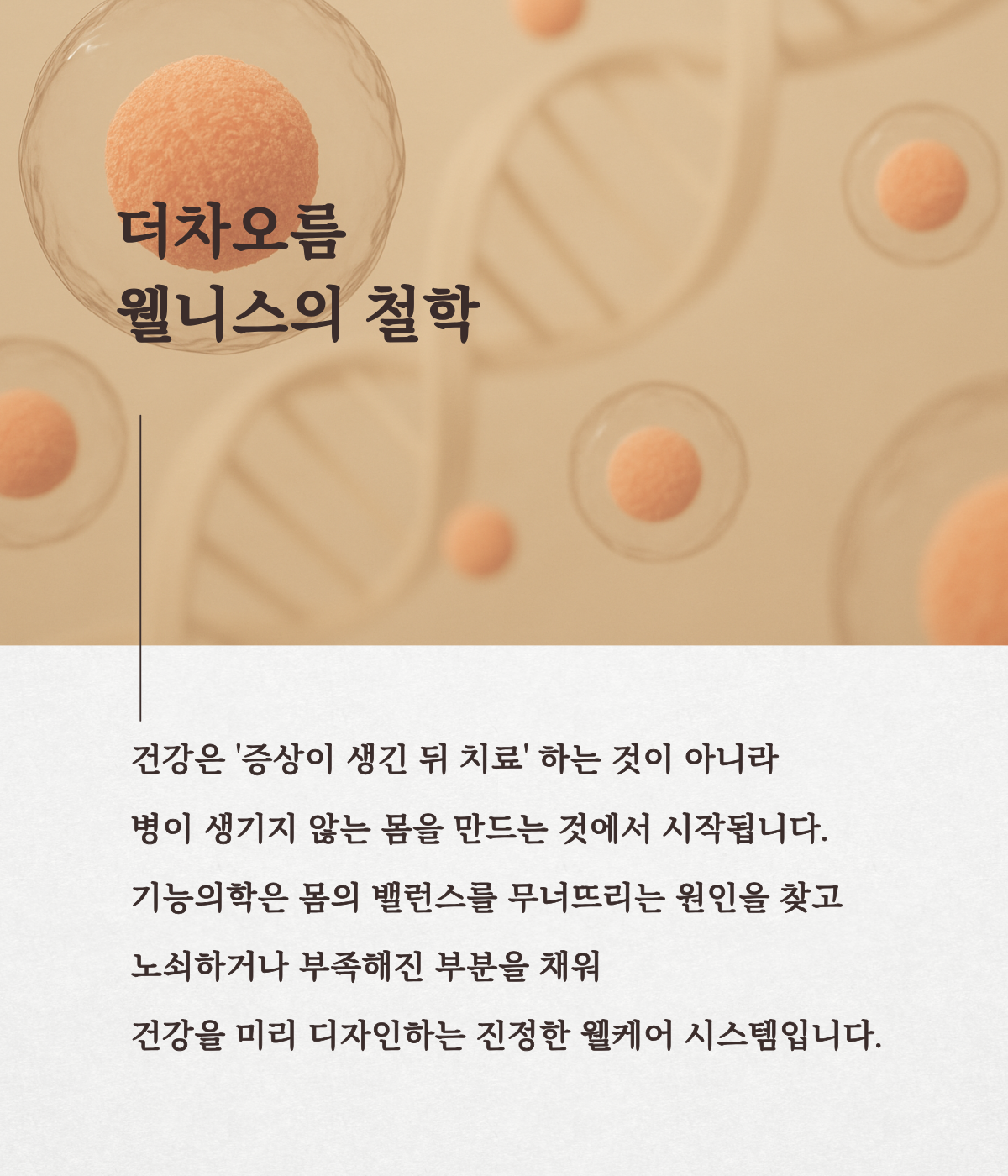 더 차오름의원 :: 기능의학 검사