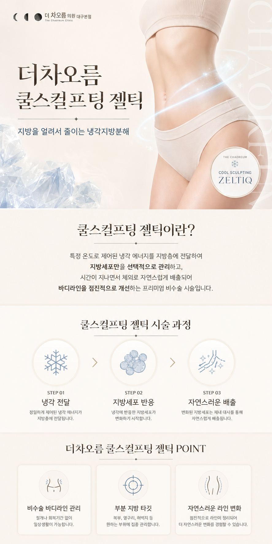 더 차오름의원 :: 쿨스컬프팅 (젤틱)