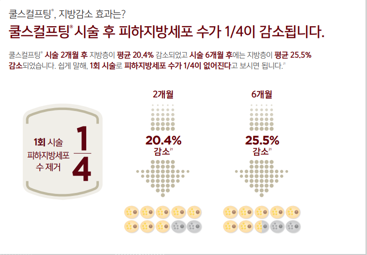 더 차오름의원 :: 쿨스컬프팅 (젤틱)