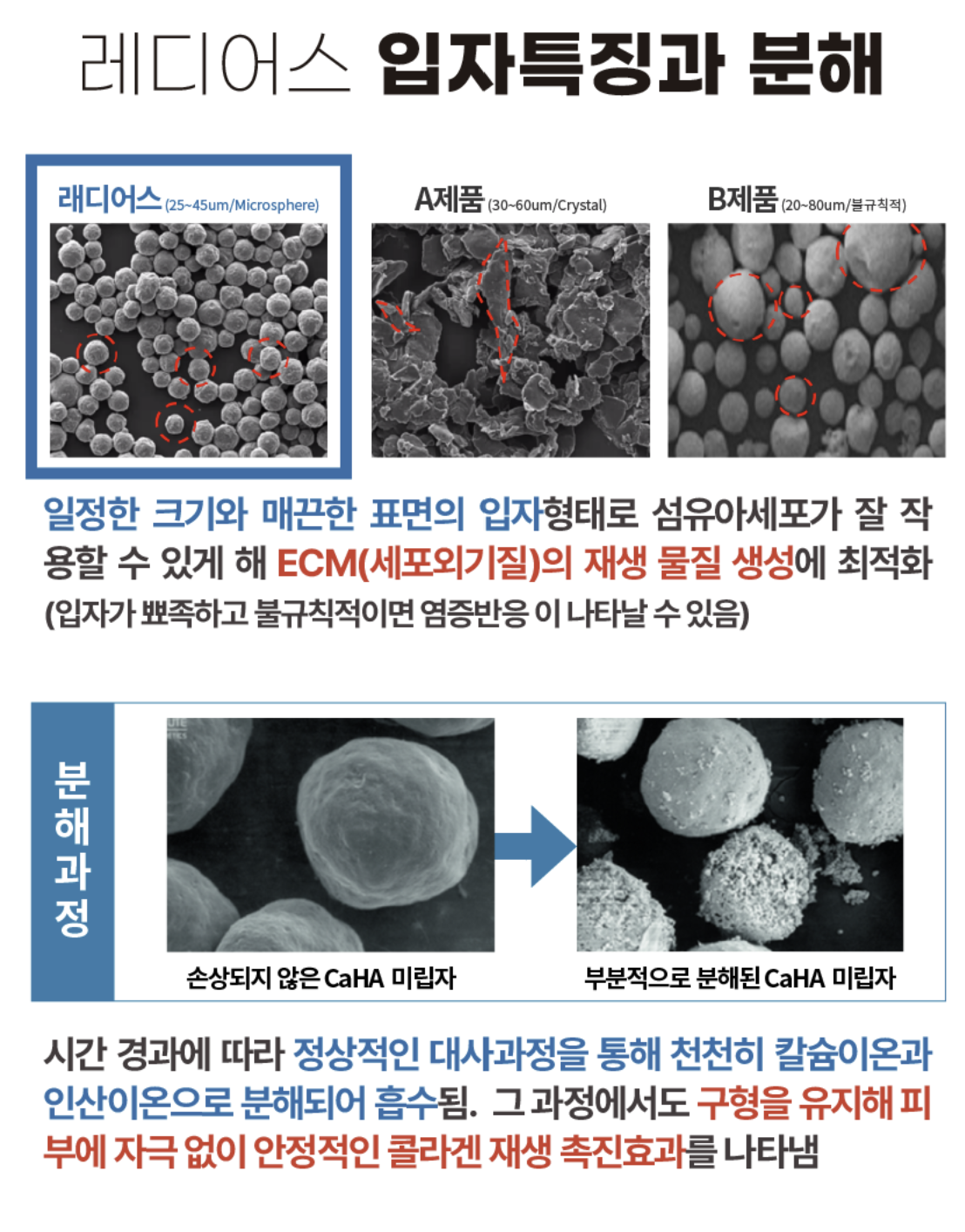 더 차오름의원 :: 레디어스