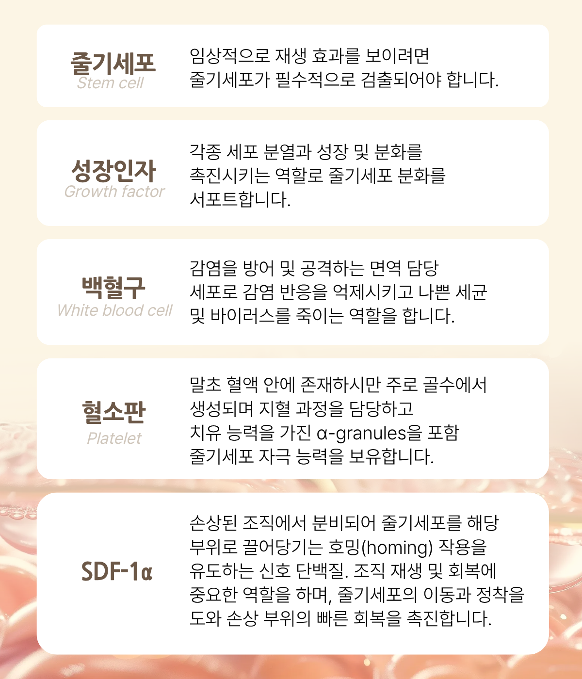 더 차오름의원 :: 더차오름셀 & 미라셀 줄기세포