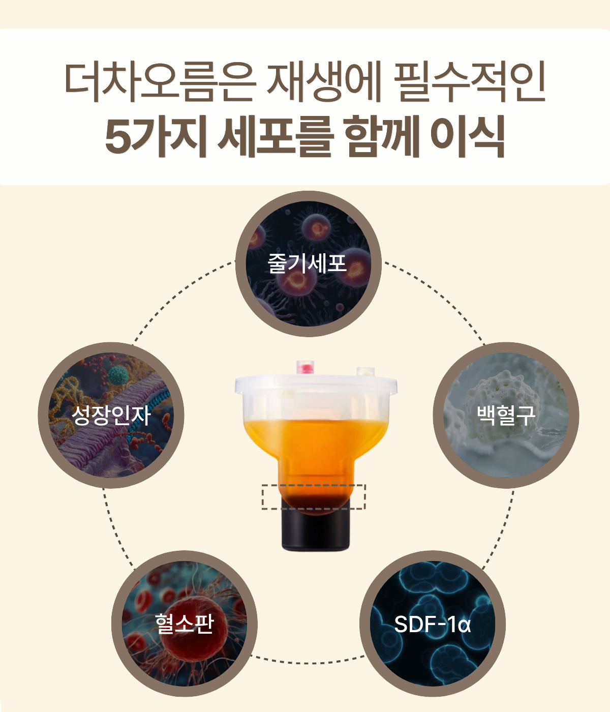 더 차오름의원 :: 더차오름셀 & 미라셀 줄기세포