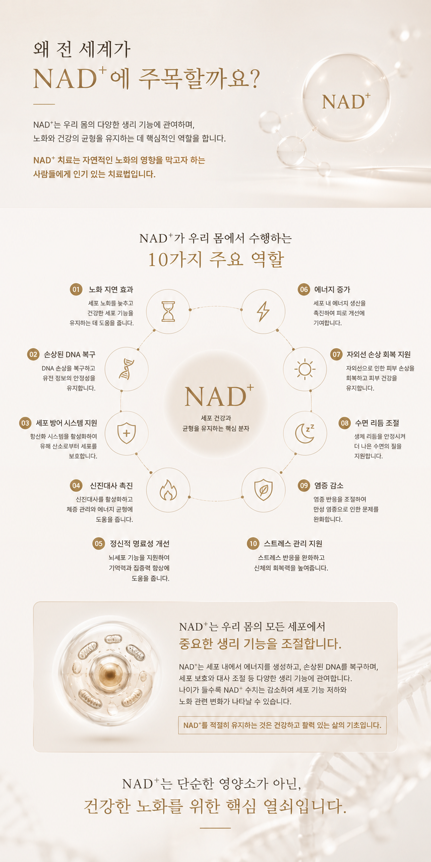 더 차오름의원 :: NAD+ 주사