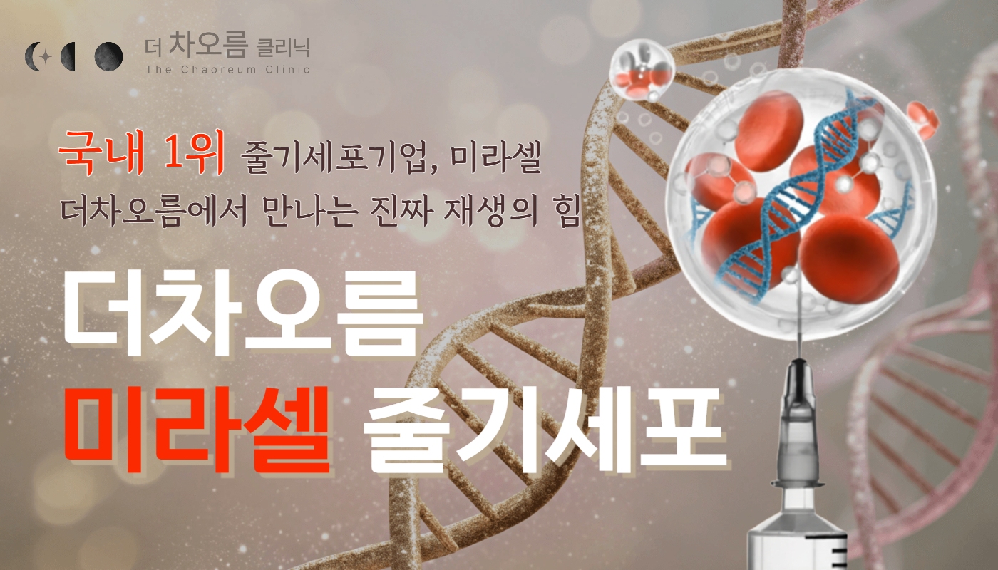 부산피부과 | 더차오름의원 부산점 - 리프팅, 보톡스, 피부레이저 :: 더차오름 웰니스센터 런칭: 미라셀 줄기세포