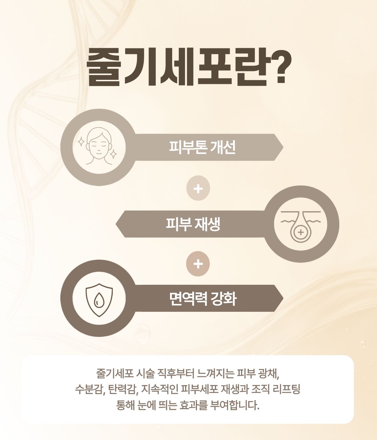 부산피부과 | 더차오름의원 부산점 - 리프팅, 보톡스, 피부레이저 :: 더차오름의원 미라셀 줄기세포