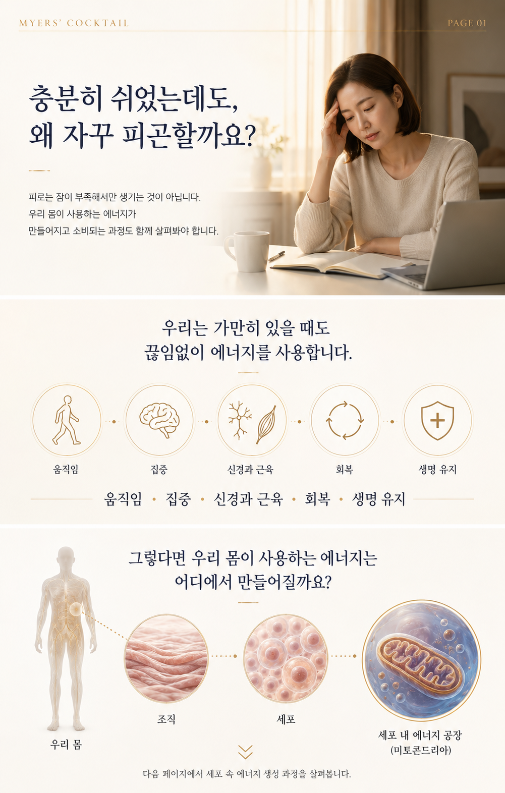 부산피부과 | 더차오름의원 부산점 - 리프팅, 보톡스, 피부레이저 :: 마이어스 칵테일 주사
