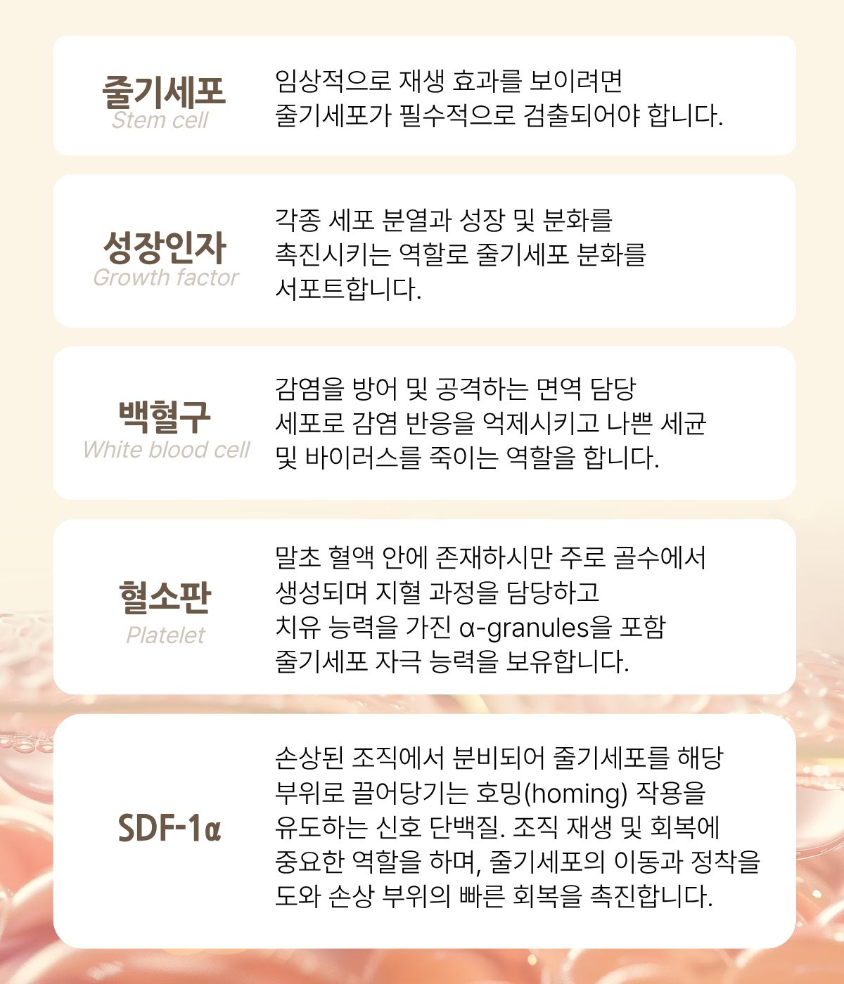 부산피부과 | 더차오름의원 부산점 - 리프팅, 보톡스, 피부레이저 :: 더차오름의원 미라셀 줄기세포