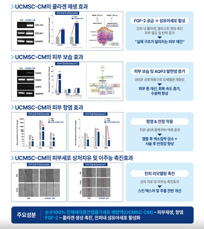 부산피부과 | 더차오름의원 부산점 - 리프팅, 보톡스, 피부레이저 :: 프리미엄 고함량 엑소좀 (베네큐어)