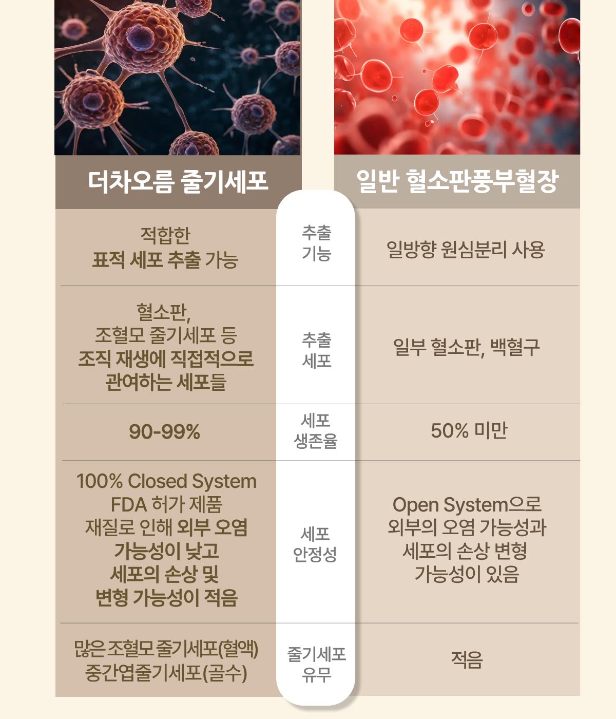 부산피부과 | 더차오름의원 부산점 - 리프팅, 보톡스, 피부레이저 :: 더차오름의원 미라셀 줄기세포