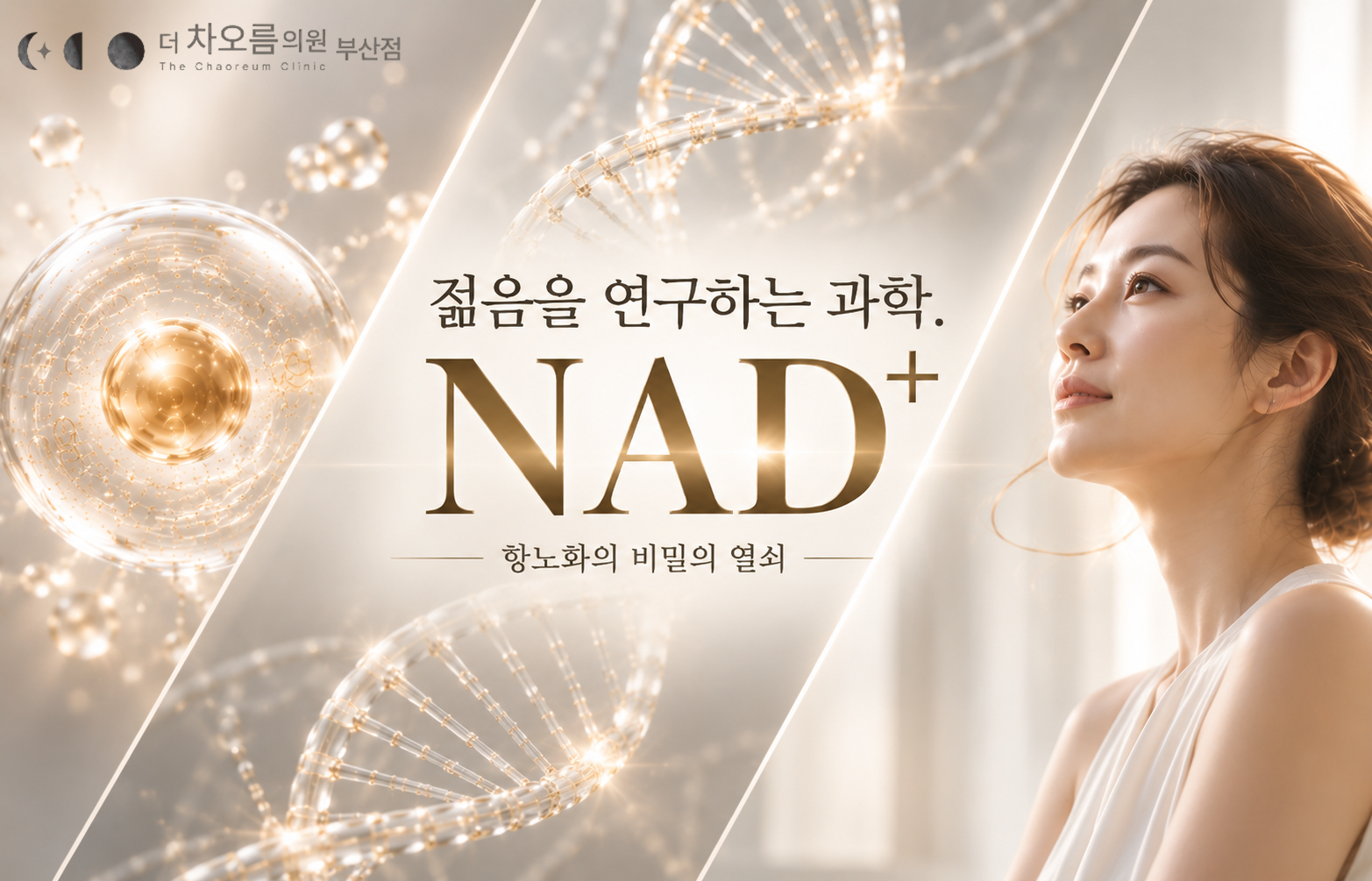 부산피부과 | 더차오름의원 부산점 - 리프팅, 보톡스, 피부레이저 :: NAD+ 주사