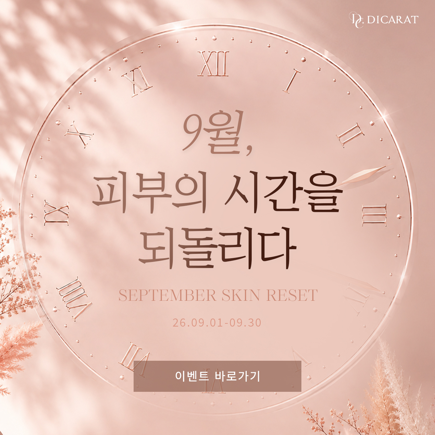 💌디캐럿 9월 이벤트🫶