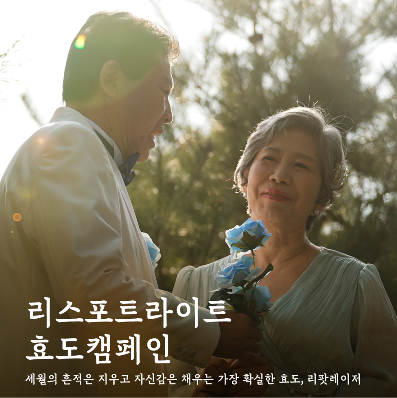 일반팝업이미지