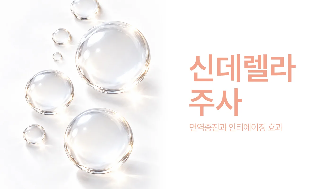 인천계양 아티뷰의원 :: 신데렐라주사